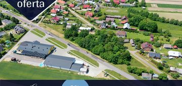 Działka przy głównej drodze, obok groszka i mrówki