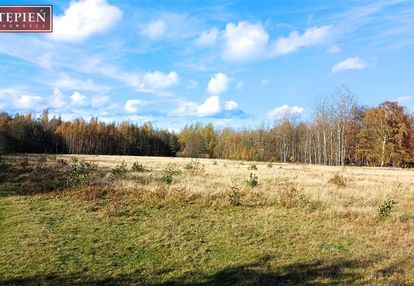 Działka rolna ze stawem izery