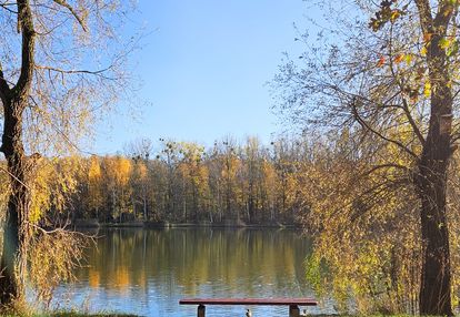 Dom otwarty - sobota 17.01