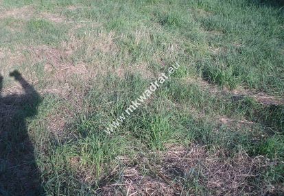 Inwestycyjny teren blisko autostrady