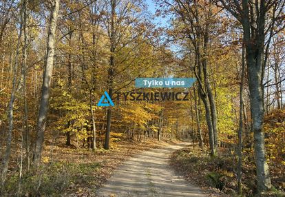 Atrakcyjne działka otoczone lasem.