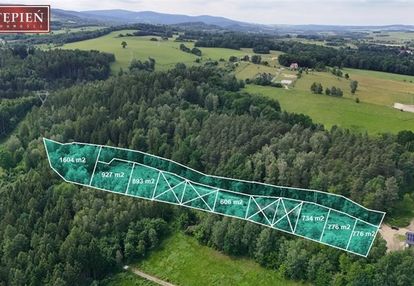 Działka mieszkalno - usługowa w wojcieszycach