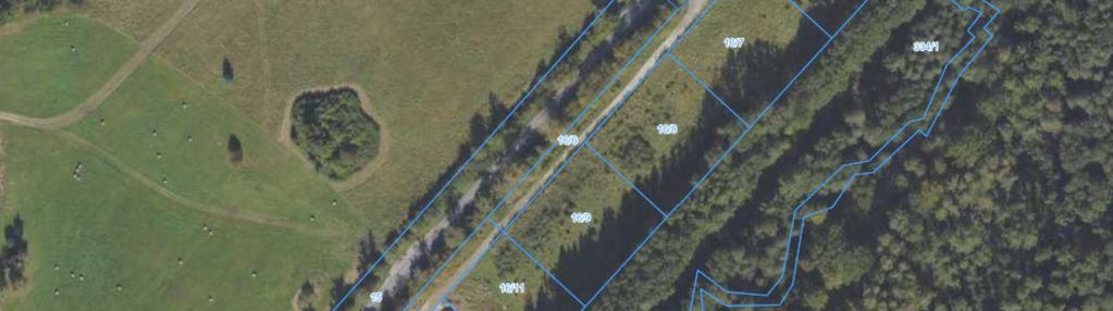 Działka 3005 m² | zieleń | spokojna lokalizacja