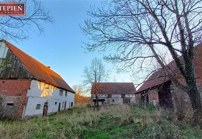 Gospodarstwo w zabudowie zagrodowej