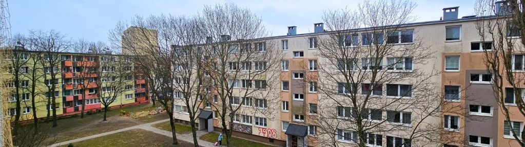 Dzień pokazowy 21 marca