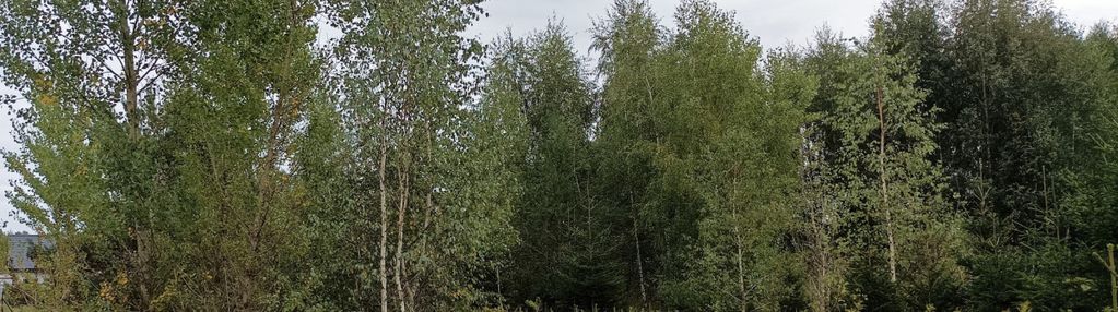 Atrakcyjna cicha i zielona  działka w grudziądzu!!