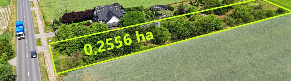 2556 m2 przy asfalcie okolice kruszyna