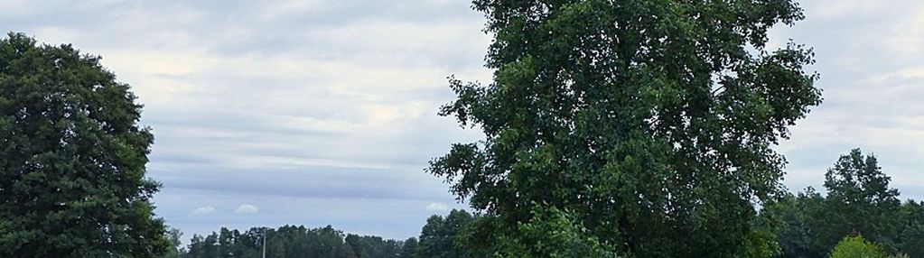 Działki z war. zabudowy pod siedlisko - małomin