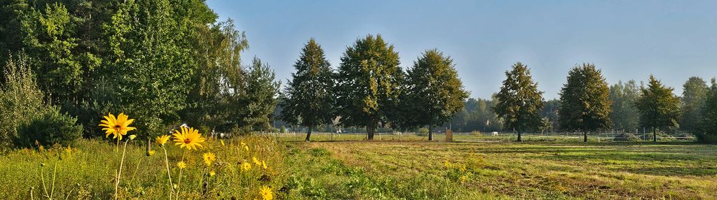 Borzęcin duży działka budowlana tuż pod kampinosem