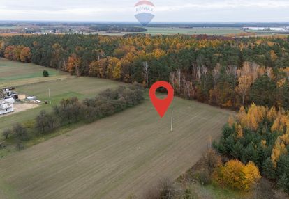 Działka pod lasem załuski