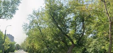 Gocławek działka z mpzp pod wielorodzinne