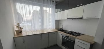 Kawalerka na ochocie