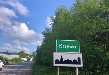 Działka siedliskowa krzywa