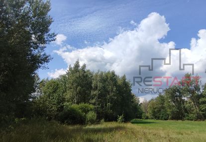 Piękna działka przy lesie – 4400 m²