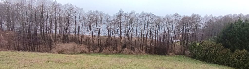 Działka rekreacyjna nad jeziorem