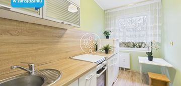 Kawalerka na wynajem