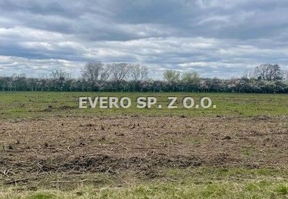 Cesarzowice działka budowlana