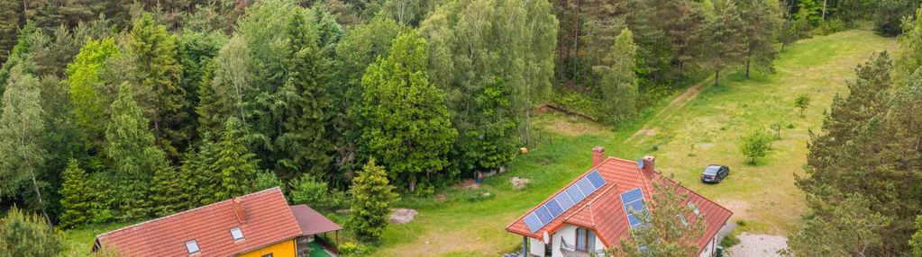 2 domy na 2 hektarach wśrodku lasu!