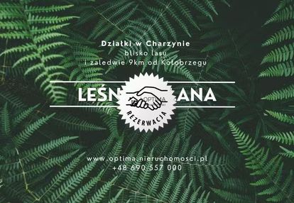Działka z widokiem na las, obok vilpark