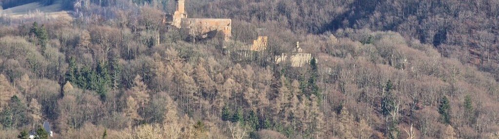 Widok na zamek grodno oraz panoramę gór sowich