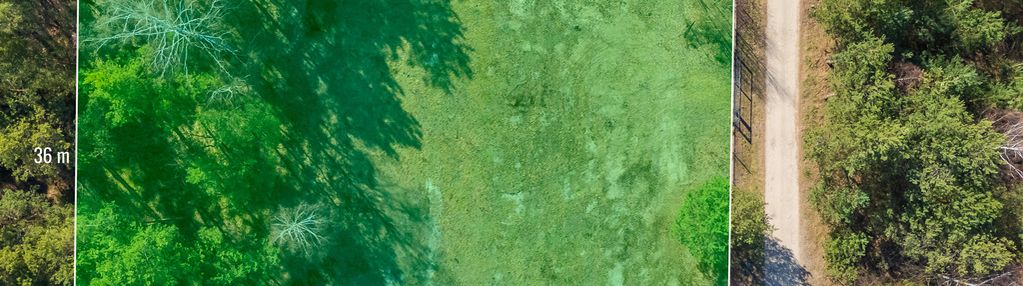 Idealne 2086m2 miejsca do życia wśród zieleni