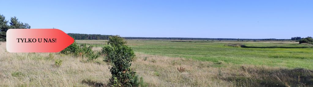 Tylko u nas! działka rolna o pow. 3,35 ha.
