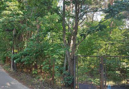 Radość | 1200 m² przy lesie 500 m od pkp