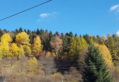 Działka na sprzedaż 2900m2