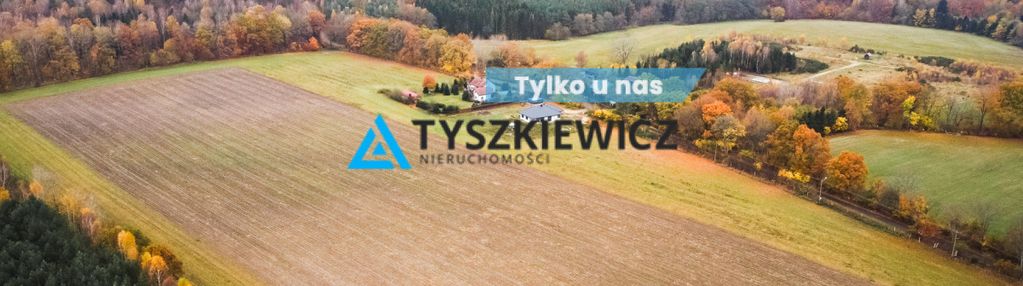 Działka szczenurze  gmina wicko