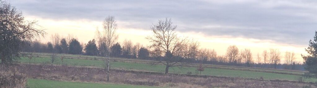 Działka 2600 m2 wymysły! cisza, spokój !!!