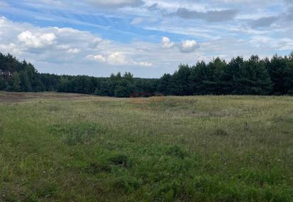 Działka 3343 m2 z lasem - wzgórza ostrzeszowskie