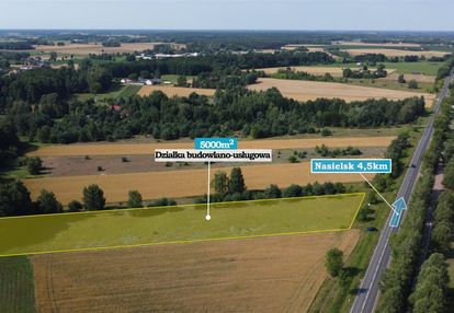 Duża działka budowlana przy drodze wojewódzkiej