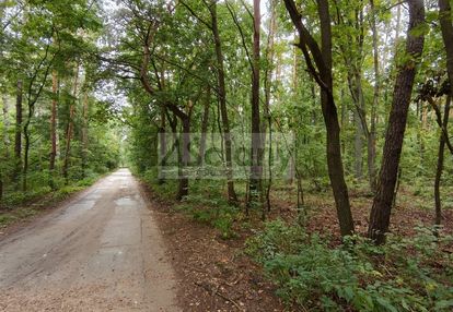 Działka budowlana1500 m² ojrzanów