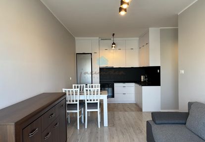 Wynajmę mieszkanie w apartamentowcu gniezno żuławy