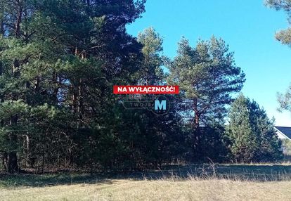 Nieruchomość nad zalewem z prywatnym lasem!