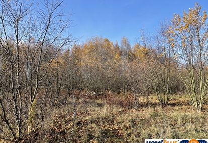 Działka budowlana 5428 m² słupno – wszystkie media