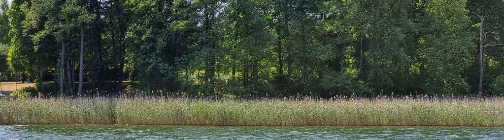 Mazury iznota bełdany jezioro działka 6978  m2