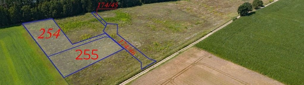 Bezpośredni dostęp do jeziora przez las państwowy!