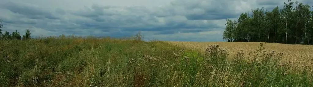 Działka na sprzedaż 2300m2