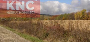 Działka rolna 53 ary w m. zgłobień