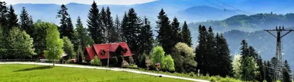 Inwestycyjnie - dom pod lasem/agroturystyka