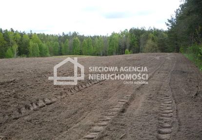 Działka rolna 5601 m2,  kobylasz / linia