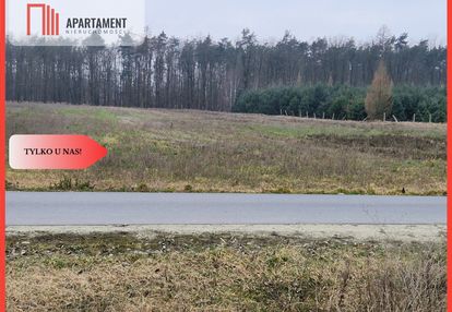 Działka budowlana ze ścianą lasu