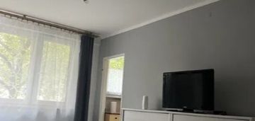 Kawalerka w śródmieściu