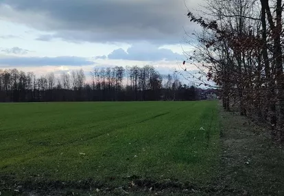 Działka na sprzedaż 1211m2