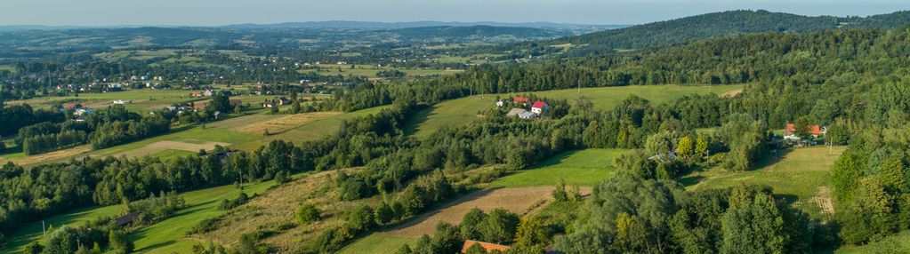 Domek w szalowej w okolicy lasu - okolice grybowa