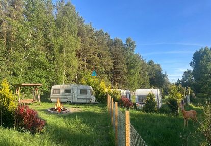 Działka w sąsiedztwie lasu- ostrowo