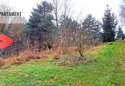 Niewielka działka w okolicy lasu i jeziora