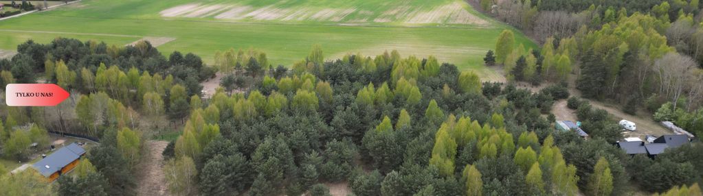 Bory tucholskie – działka 1195 mkw pod budowę domu