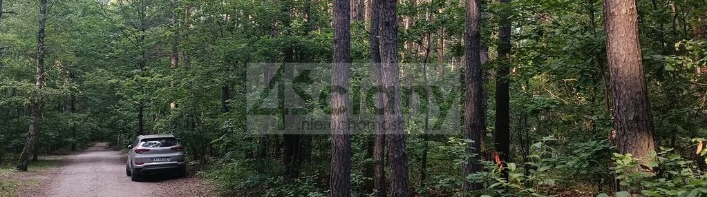 Piekna działka w lesie, idealna cisza!